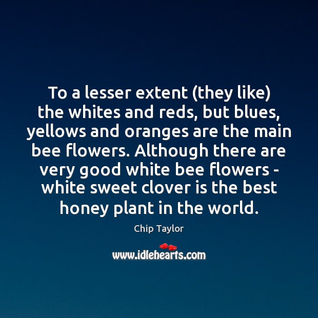 To a lesser extent (they like) the whites and reds, but blues, Chip Taylor Picture Quote