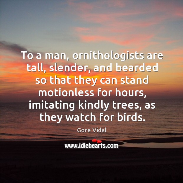 To a man, ornithologists are tall, slender, and bearded so that they can stand motionless for hours Gore Vidal Picture Quote