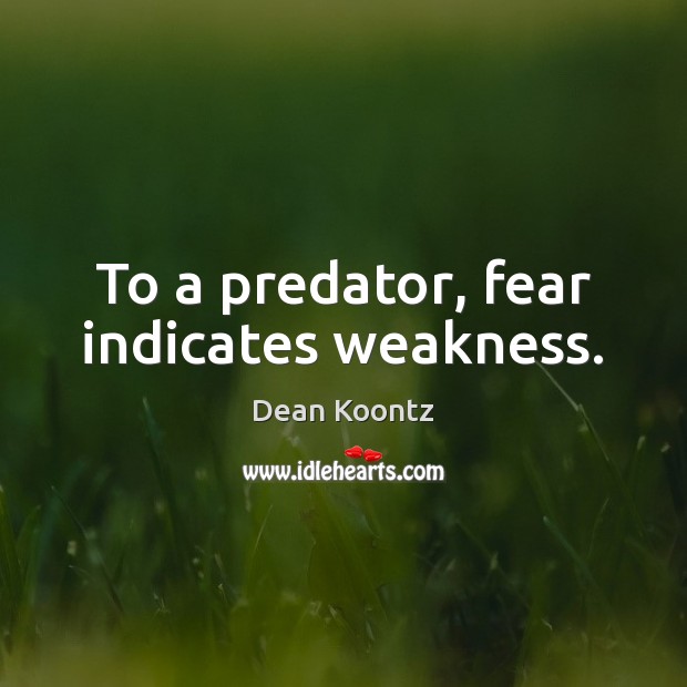 To a predator, fear indicates weakness. Dean Koontz Picture Quote
