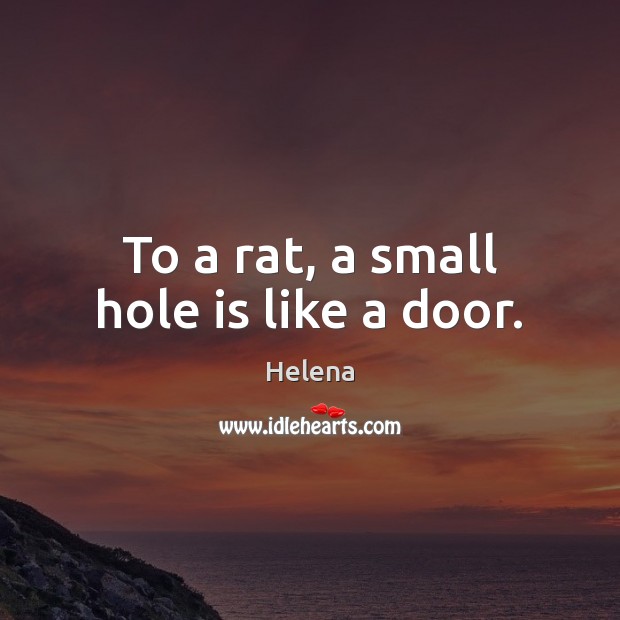 To a rat, a small hole is like a door. Helena Picture Quote