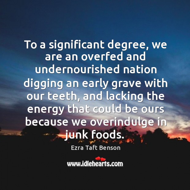To a significant degree, we are an overfed and undernourished nation digging Image