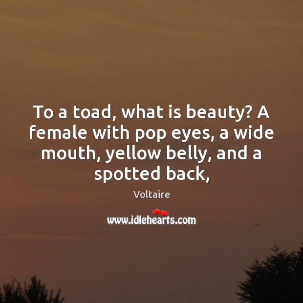 To a toad, what is beauty? A female with pop eyes, a Voltaire Picture Quote