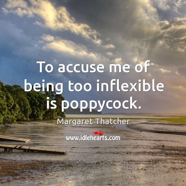 To accuse me of being too inflexible is poppycock. 