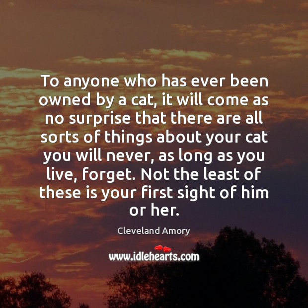 To anyone who has ever been owned by a cat, it will Cleveland Amory Picture Quote
