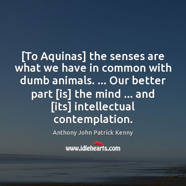 [To Aquinas] the senses are what we have in common with dumb Image