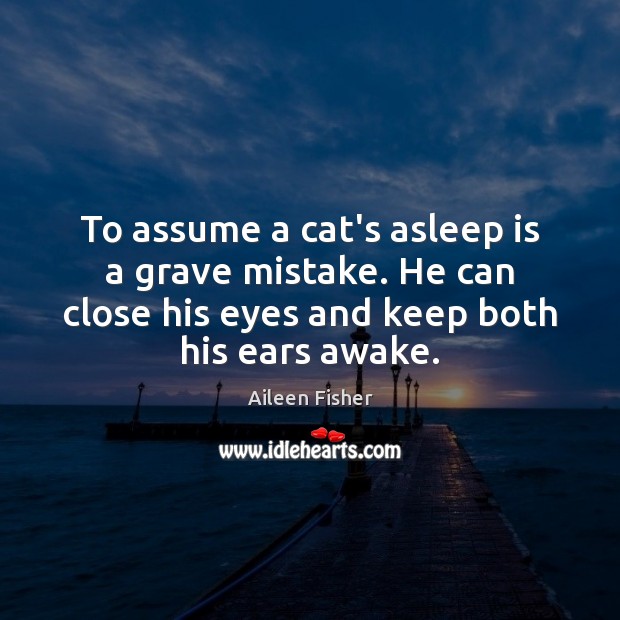 To assume a cat’s asleep is a grave mistake. He can close Image