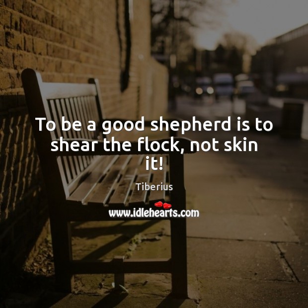 To be a good shepherd is to shear the flock, not skin it! Tiberius Picture Quote