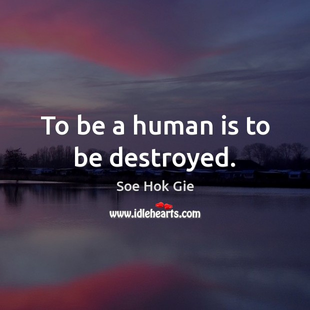To be a human is to be destroyed. Soe Hok Gie Picture Quote