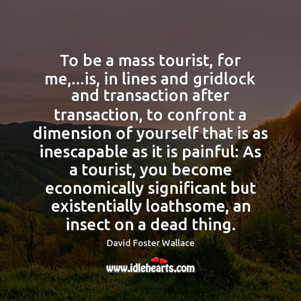 To be a mass tourist, for me,…is, in lines and gridlock David Foster Wallace Picture Quote