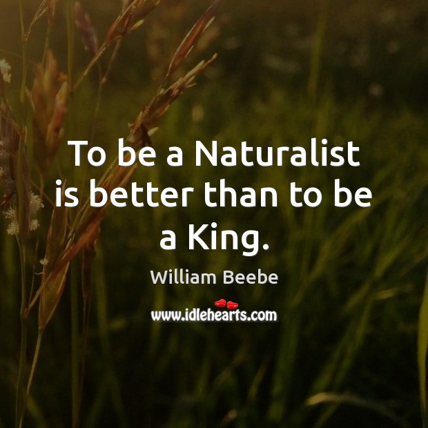 To be a Naturalist is better than to be a King. William Beebe Picture Quote