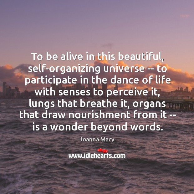 To be alive in this beautiful, self-organizing universe — to participate in Image