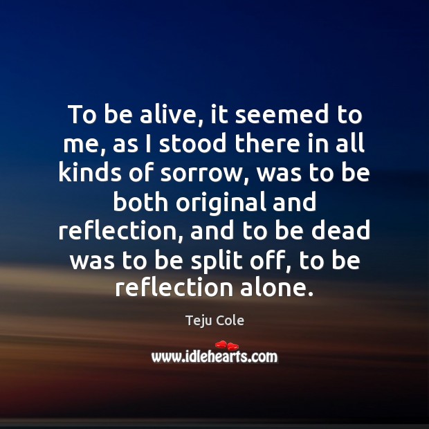 To be alive, it seemed to me, as I stood there in Teju Cole Picture Quote