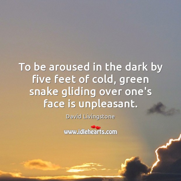 To be aroused in the dark by five feet of cold, green David Livingstone Picture Quote