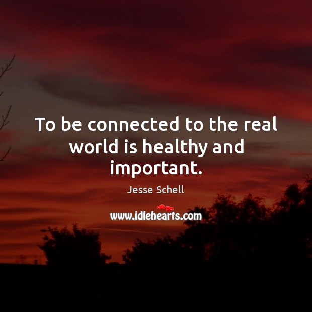 To be connected to the real world is healthy and important. Jesse Schell Picture Quote