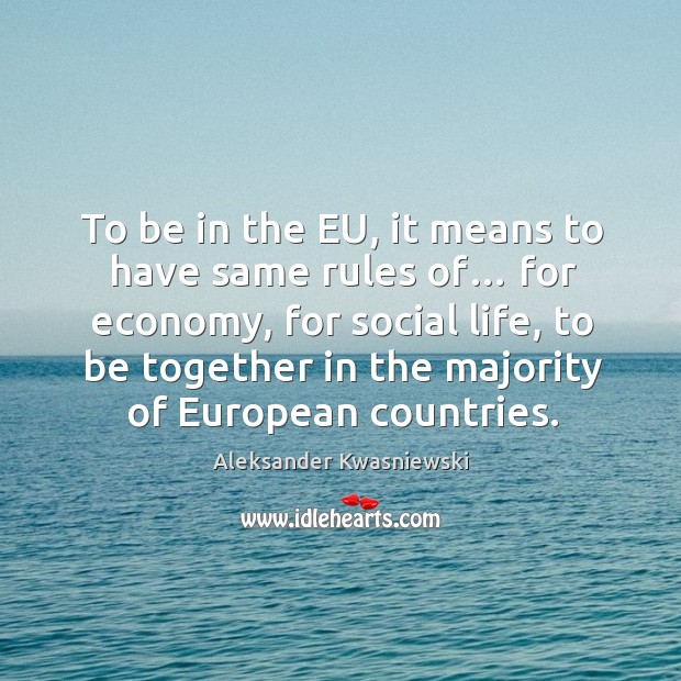 To be in the eu, it means to have same rules of… for economy, for social life Aleksander Kwasniewski Picture Quote