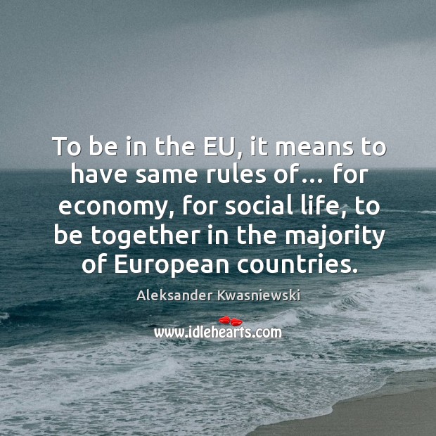 To be in the eu, it means to have same rules of… for economy, for social life, to be together Image