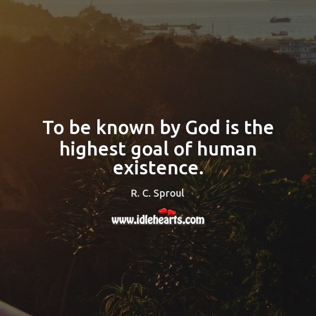 To be known by God is the highest goal of human existence. Goal Quotes Image