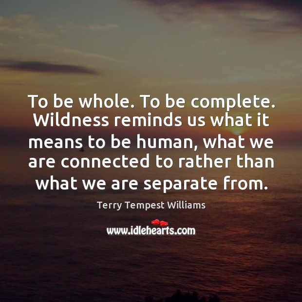 To be whole. To be complete. Wildness reminds us what it means Terry Tempest Williams Picture Quote