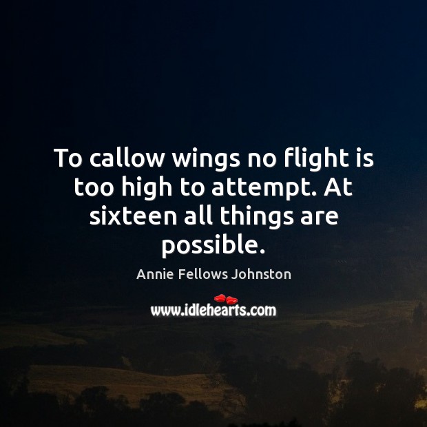To callow wings no flight is too high to attempt. At sixteen all things are possible. Image