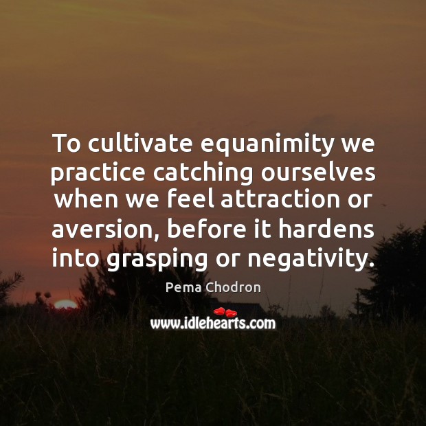 To cultivate equanimity we practice catching ourselves when we feel attraction or Pema Chodron Picture Quote