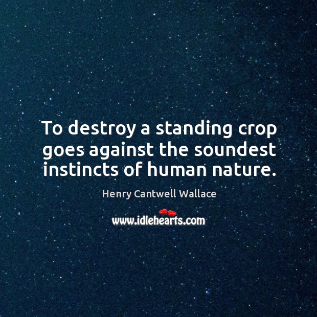 To destroy a standing crop goes against the soundest instincts of human nature. Image
