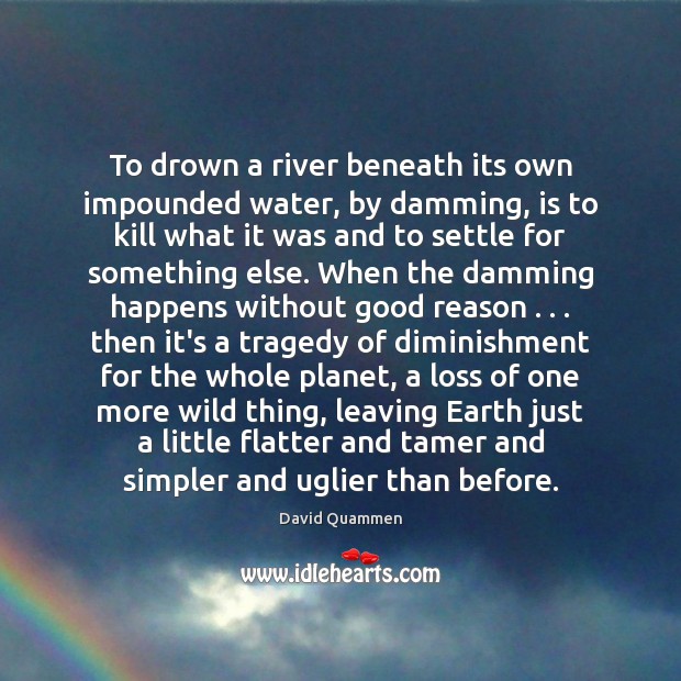 To drown a river beneath its own impounded water, by damming, is David Quammen Picture Quote