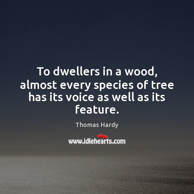 To dwellers in a wood, almost every species of tree has its voice as well as its feature. Thomas Hardy Picture Quote