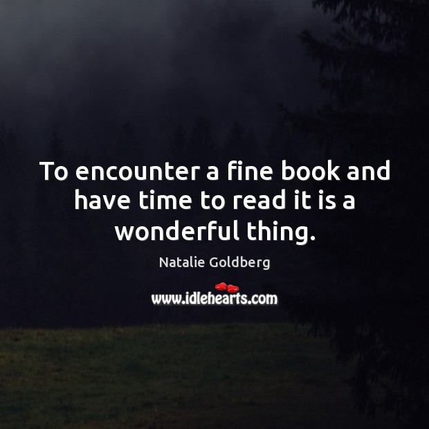 To encounter a fine book and have time to read it is a wonderful thing. Natalie Goldberg Picture Quote