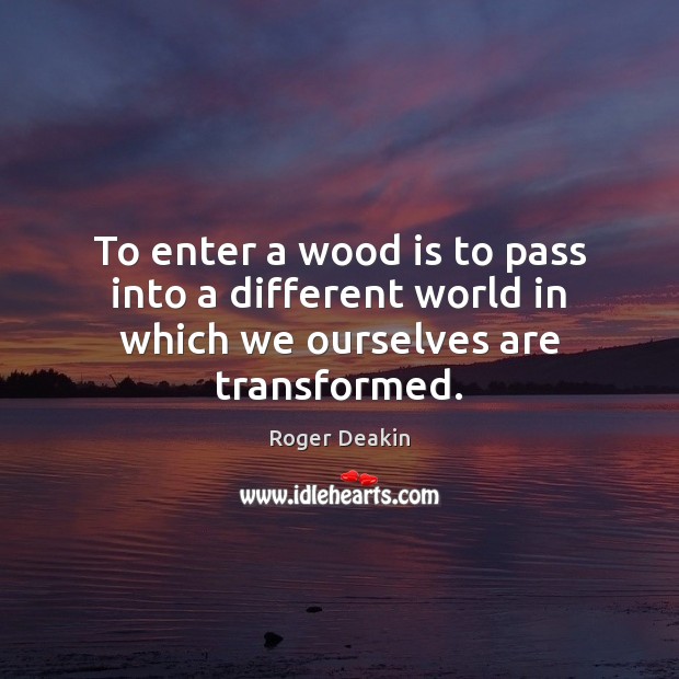 To enter a wood is to pass into a different world in which we ourselves are transformed. Roger Deakin Picture Quote
