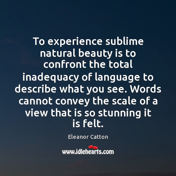 To experience sublime natural beauty is to confront the total inadequacy of Eleanor Catton Picture Quote
