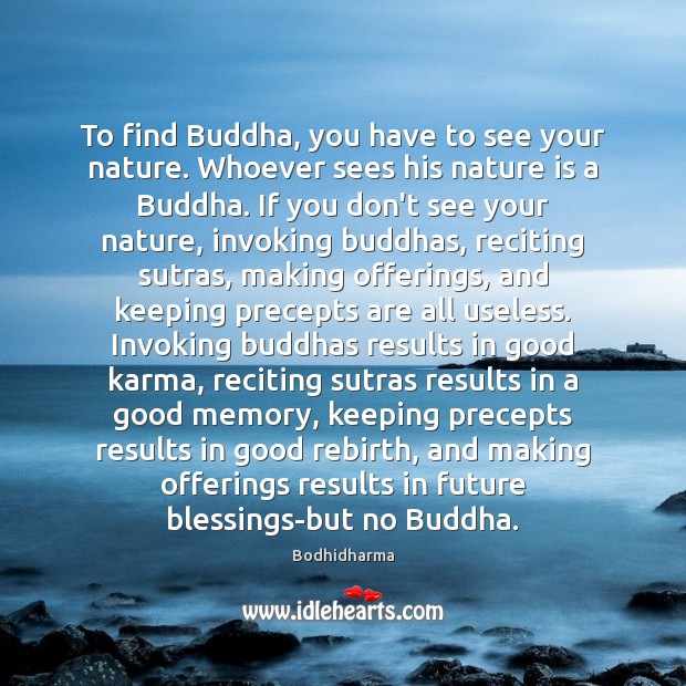 To find Buddha, you have to see your nature. Whoever sees his Bodhidharma Picture Quote