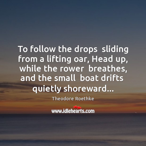 To follow the drops  sliding from a lifting oar, Head up, while Theodore Roethke Picture Quote