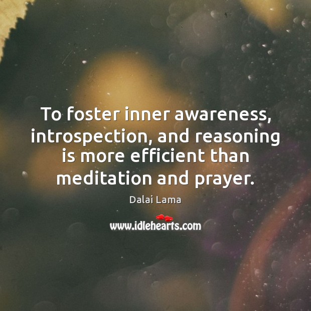 To foster inner awareness, introspection, and reasoning is more efficient than meditation Dalai Lama Picture Quote