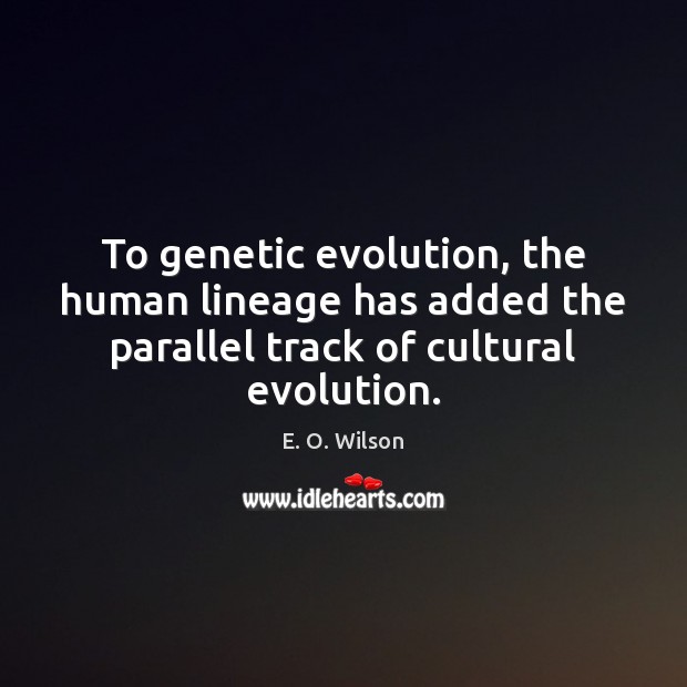 To genetic evolution, the human lineage has added the parallel track of E. O. Wilson Picture Quote