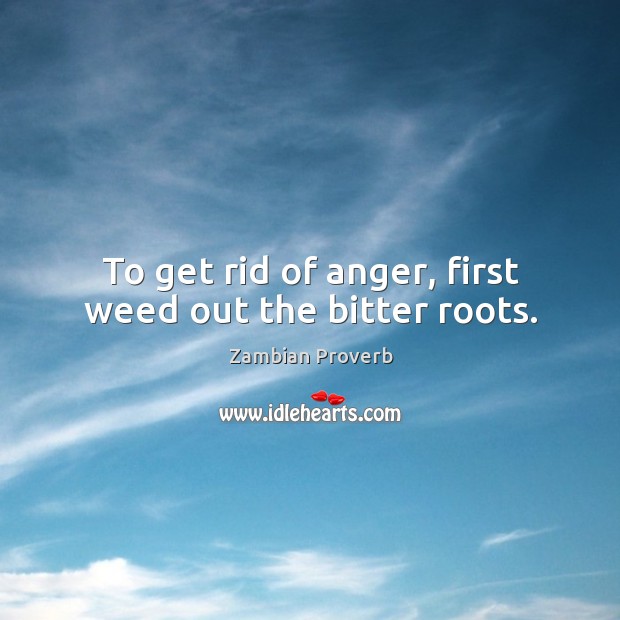 To get rid of anger, first weed out the bitter roots. Zambian Proverbs Image