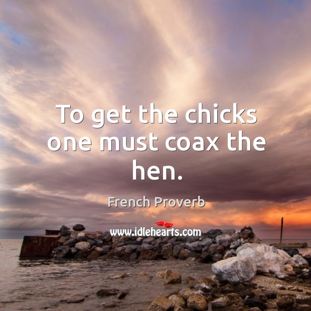 To get the chicks one must coax the hen. French Proverbs Image