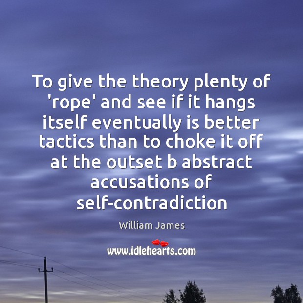 To give the theory plenty of ‘rope’ and see if it hangs William James Picture Quote