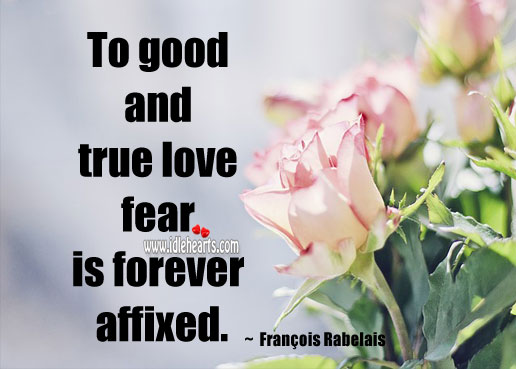 To good and true love fear is forever affixed. Fear Quotes Image