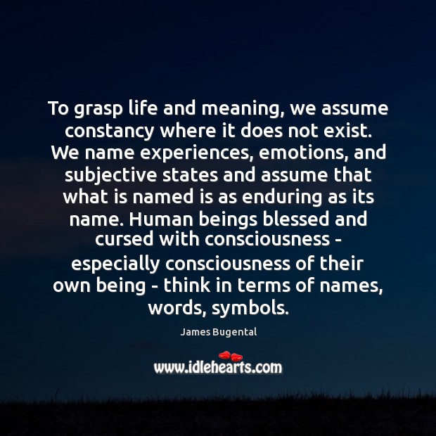 To grasp life and meaning, we assume constancy where it does not James Bugental Picture Quote