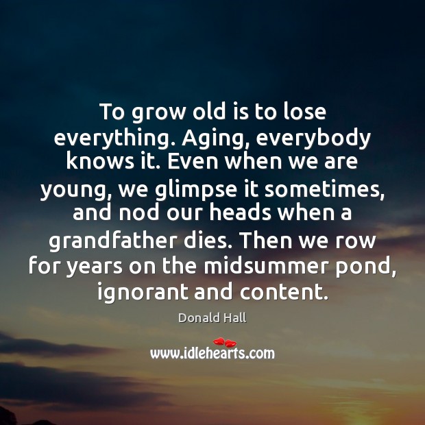 To grow old is to lose everything. Aging, everybody knows it. Even Donald Hall Picture Quote
