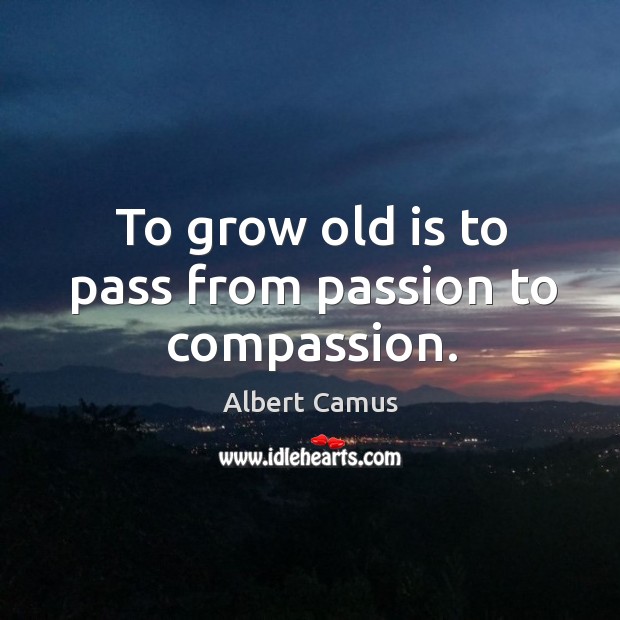 To grow old is to pass from passion to compassion. Image