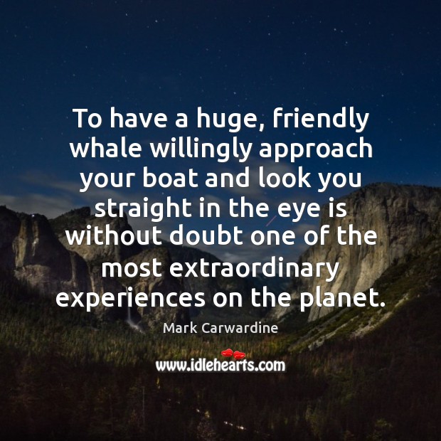 To have a huge, friendly whale willingly approach your boat and look 