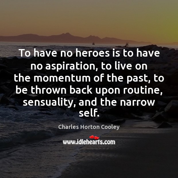 To have no heroes is to have no aspiration, to live on Charles Horton Cooley Picture Quote