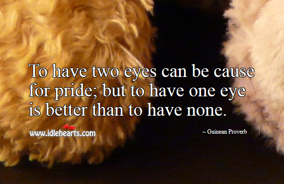 To have two eyes can be cause for pride; but to have one eye is better than to have none. Guinean Proverbs Image