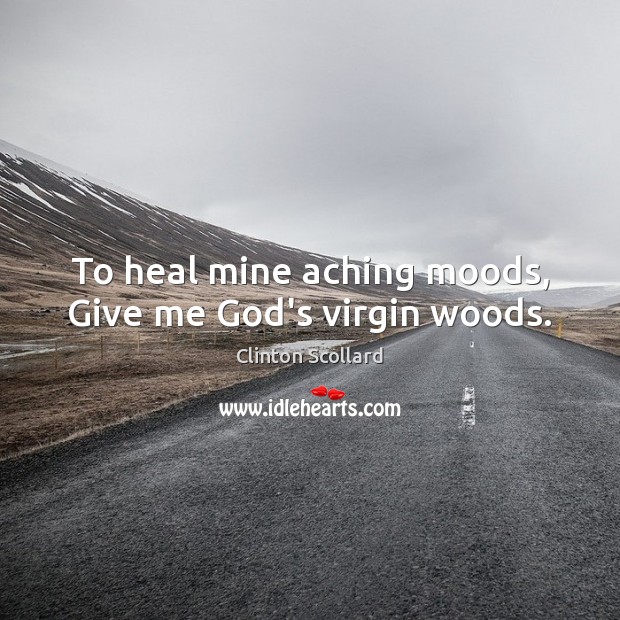 To heal mine aching moods, Give me God’s virgin woods. Heal Quotes Image