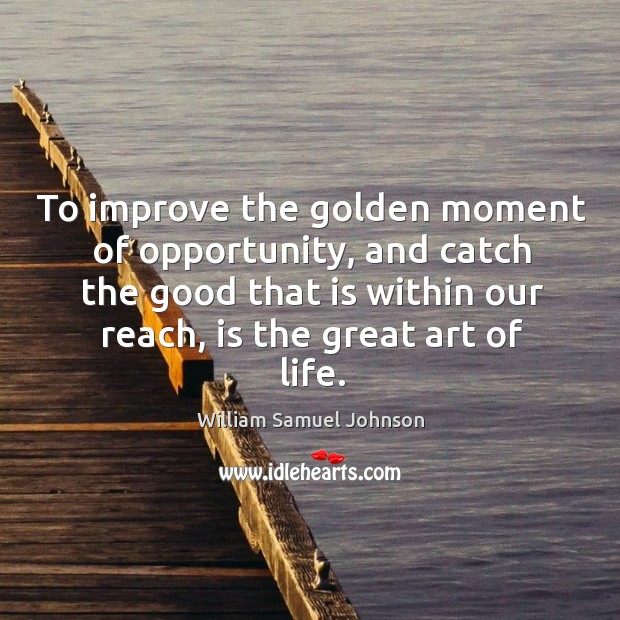To improve the golden moment of opportunity, and catch the good that is within our reach, is the great art of life. Image