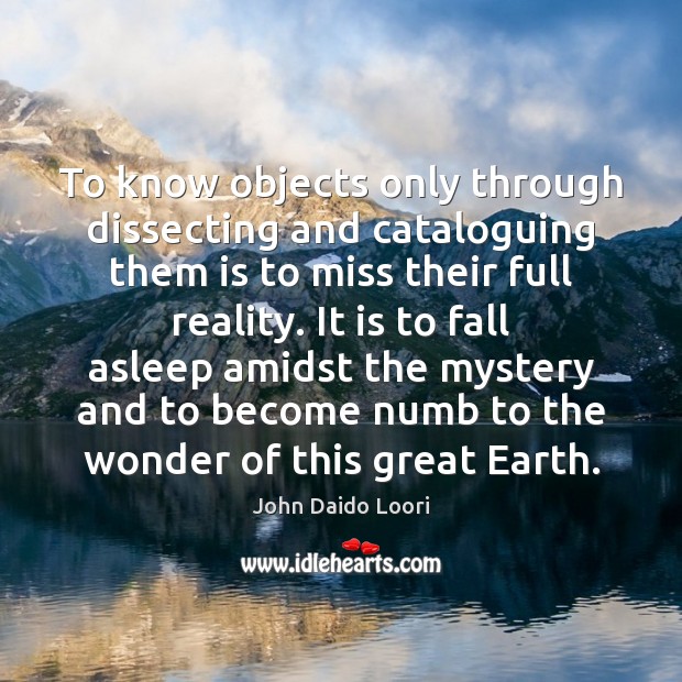 To know objects only through dissecting and cataloguing them is to miss John Daido Loori Picture Quote