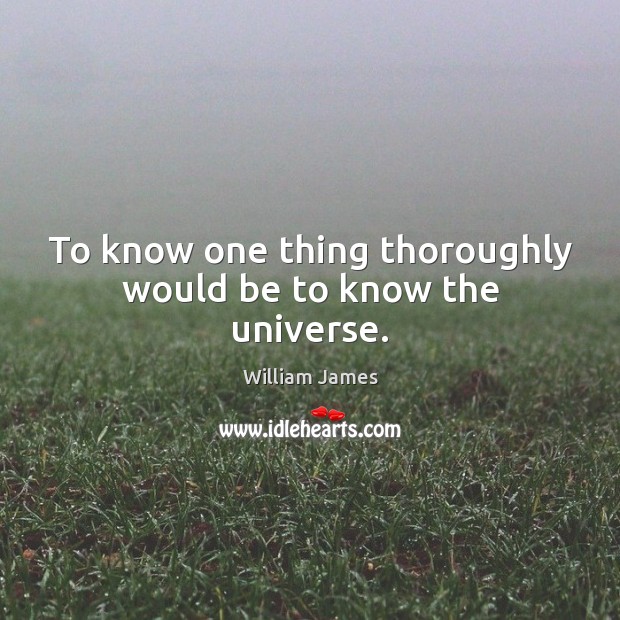 To know one thing thoroughly would be to know the universe. William James Picture Quote