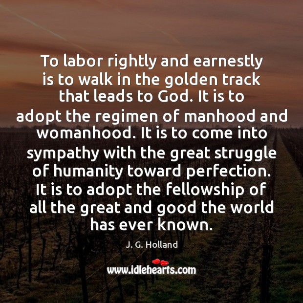 To labor rightly and earnestly is to walk in the golden track J. G. Holland Picture Quote