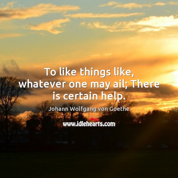 To like things like, whatever one may ail; There is certain help. Johann Wolfgang von Goethe Picture Quote